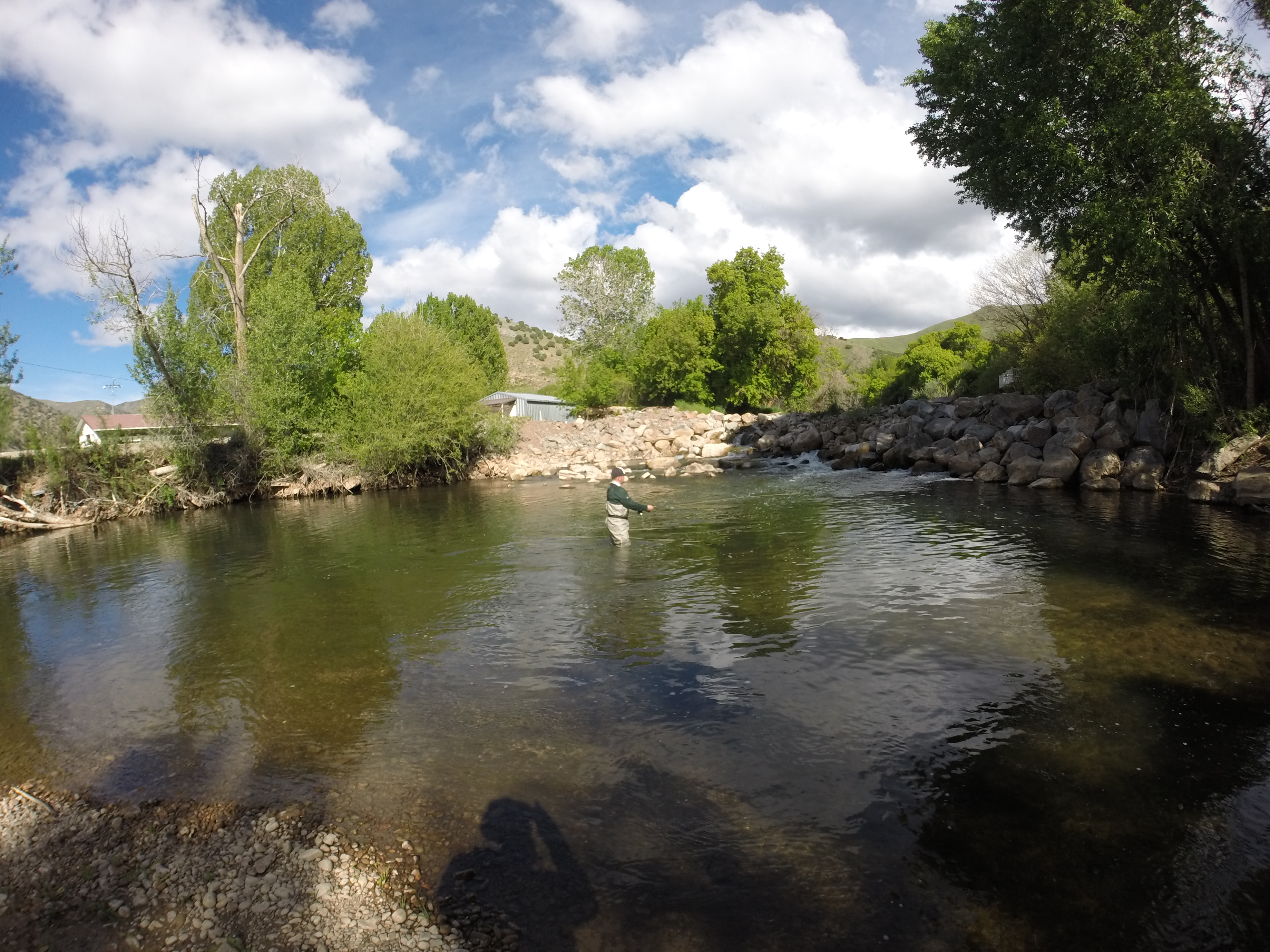 Fishing the Weber River